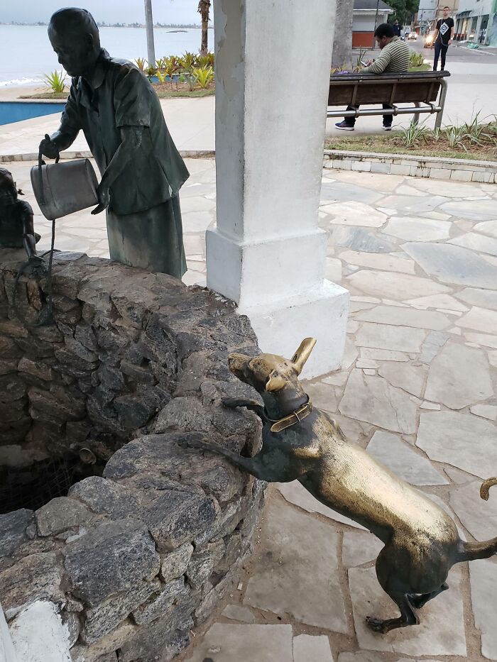 Escultura de perro desgastada por el tiempo en una fuente, mostrando el efecto del paso de los años.