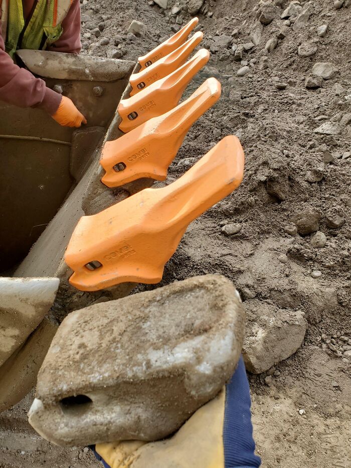 Worn-down excavator tooth compared to new ones, showing the effects of time on belongings.