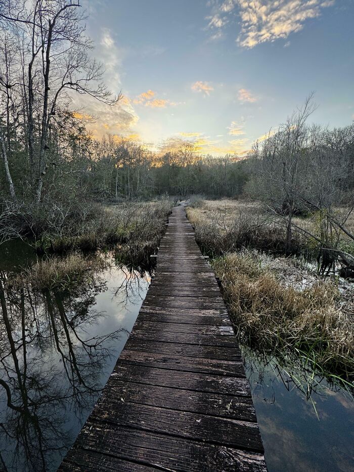 Pasarela de madera desgastada por el tiempo sobre un pantano al atardecer.