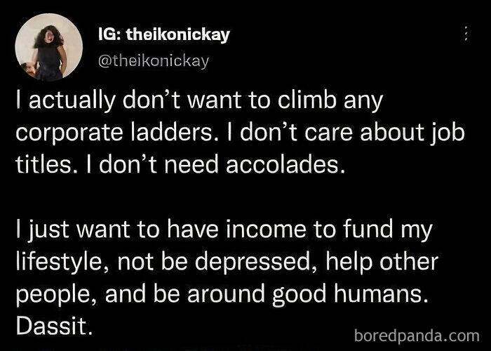 Meme about adulthood struggles, focusing on simplicity, mental health, and meaningful connections over career success.
