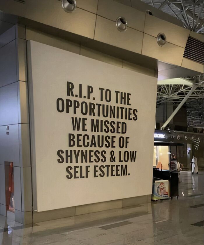 Wall with text humorously lamenting missed opportunities due to shyness, resonating with adults struggling through adulthood.