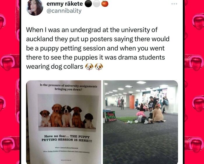 Wholesome image of a university prank where drama students in dog collars replaced a promised puppy petting session.