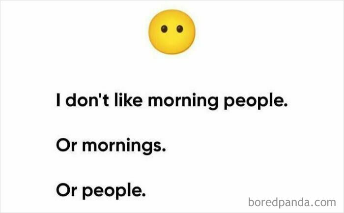 Sadcastic meme with yellow smiley face, humorously disliking mornings and people.