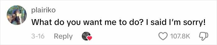 Text screenshot with a user comment: "What do you want me to do? I said I’m sorry!" Highlighting apology frustration theme.