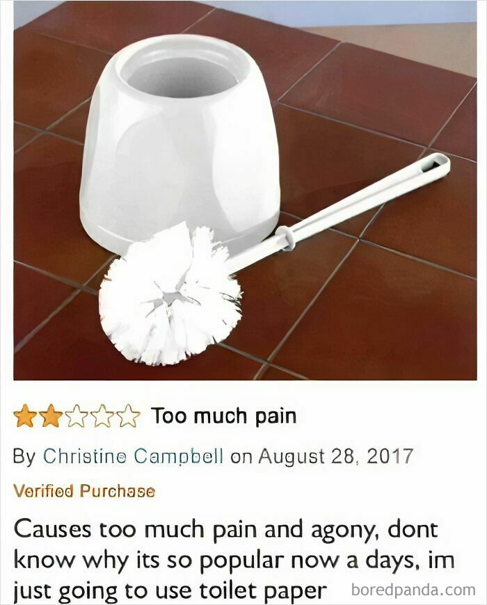 Funny meme review of a toilet brush titled "Too much pain" with a 1-star rating, humor about using toilet paper instead.