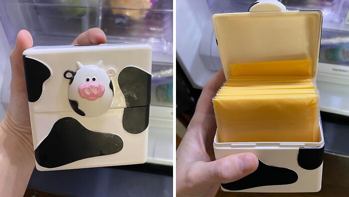 Cow-themed cheese storage box showing Costco a*******n in a playful way.