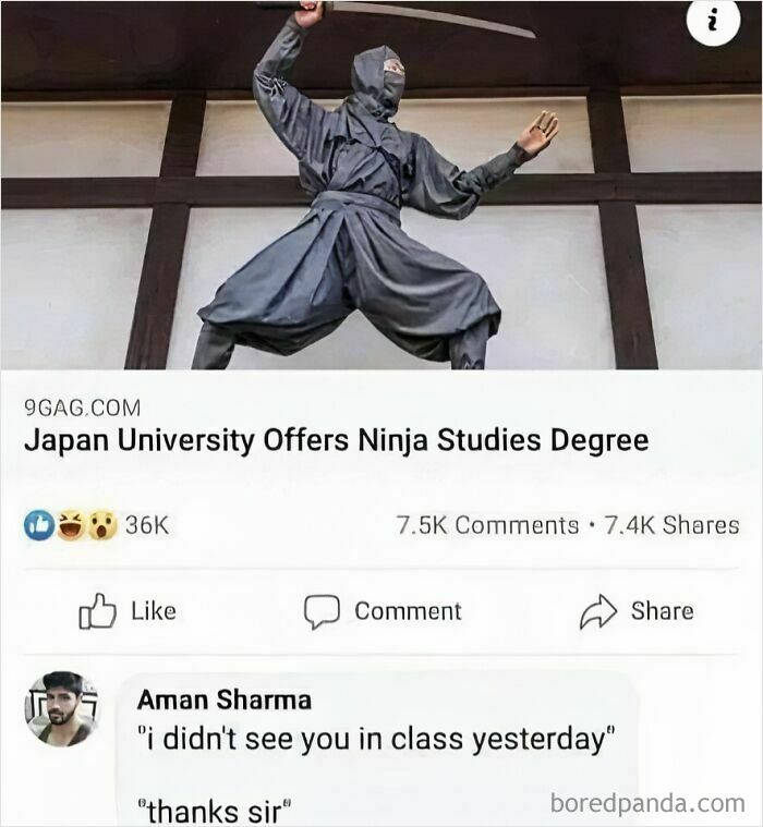 Ninja studies meme featuring a ninja statue and a humorous comment, from a page focused on daily humor memes.