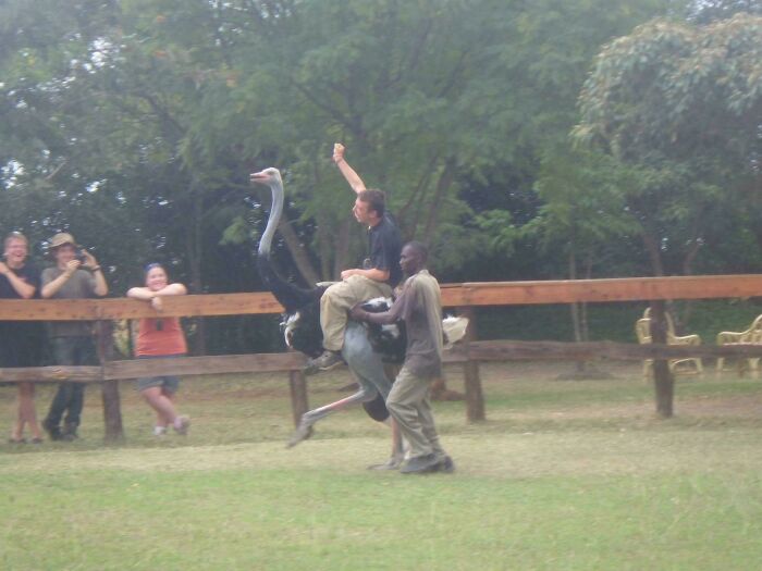 Person riding an ostrich while others watch, capturing an unbelievable moment.