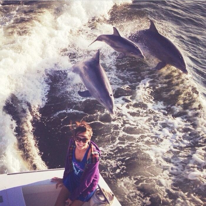 Woman on a boat with dolphins swimming alongside, a photo capturing an unbelievable moment.