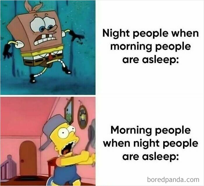 Cartoon 'sadcastic' meme showing night and morning people’s reactions when others are asleep.