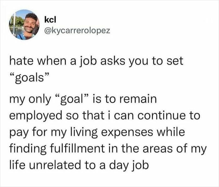 A funny meme about work goals highlighting the irony of job expectations and personal fulfillment.