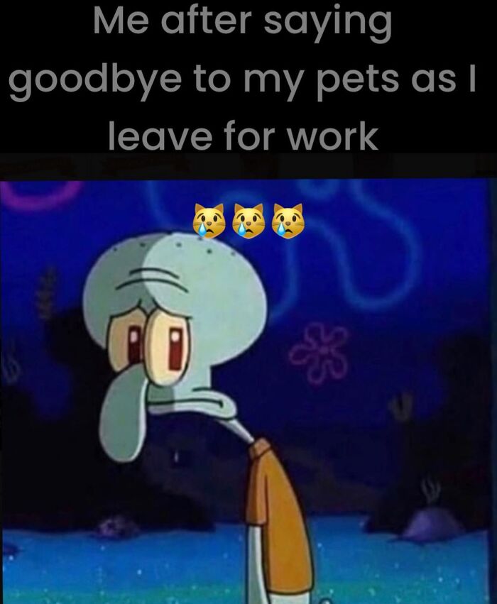 Squidward looking sad, reflecting a funny work meme about leaving pets for work with crying cat emojis above him.