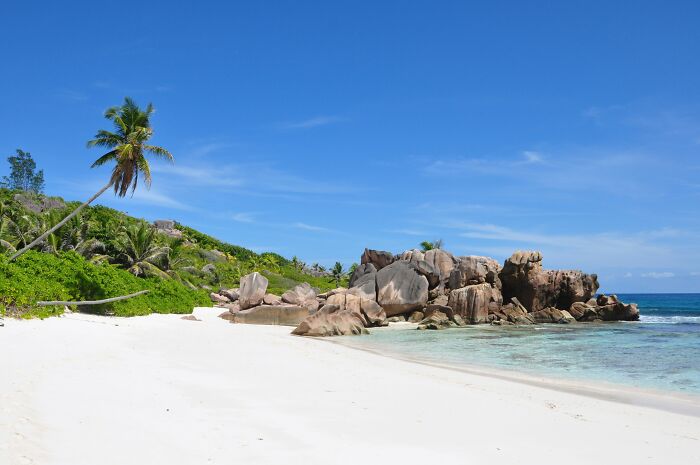 Tropical beach with white sand, palm trees, and clear blue water under a sunny sky.