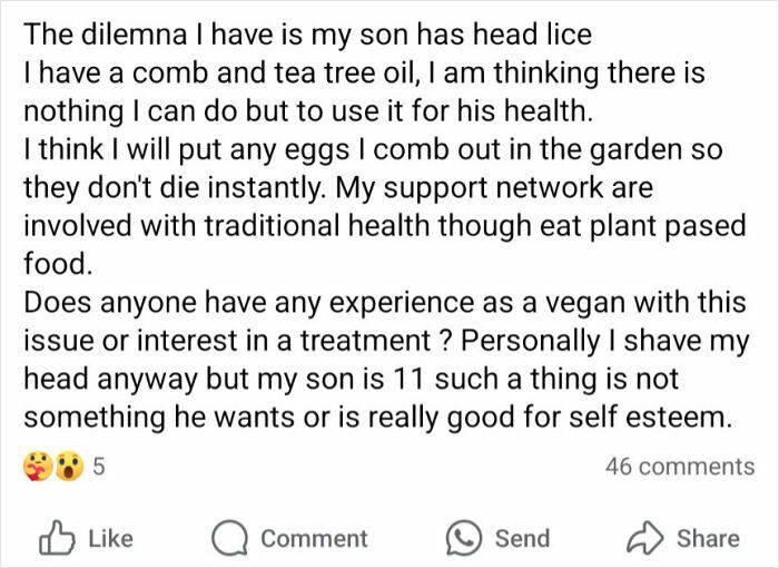 Confused post in mom group about son's head lice treatment using tea tree oil and seeking vegan advice.