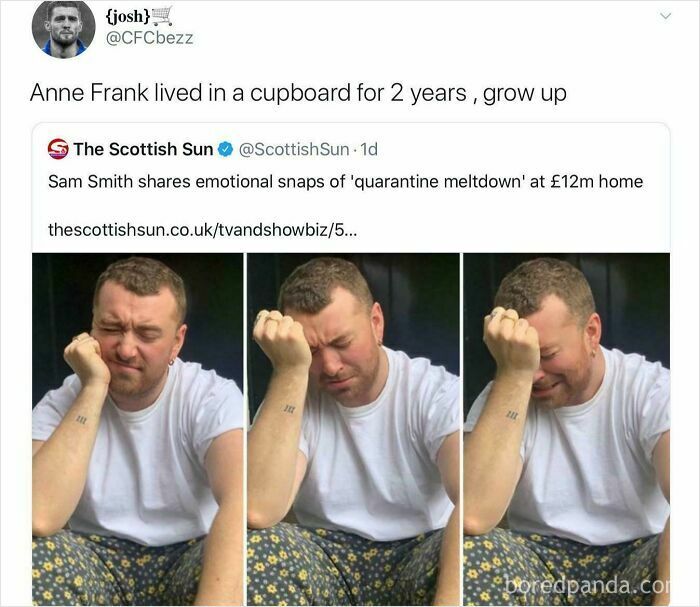 Rich person shamed online for quarantine meltdown photos at expensive home.