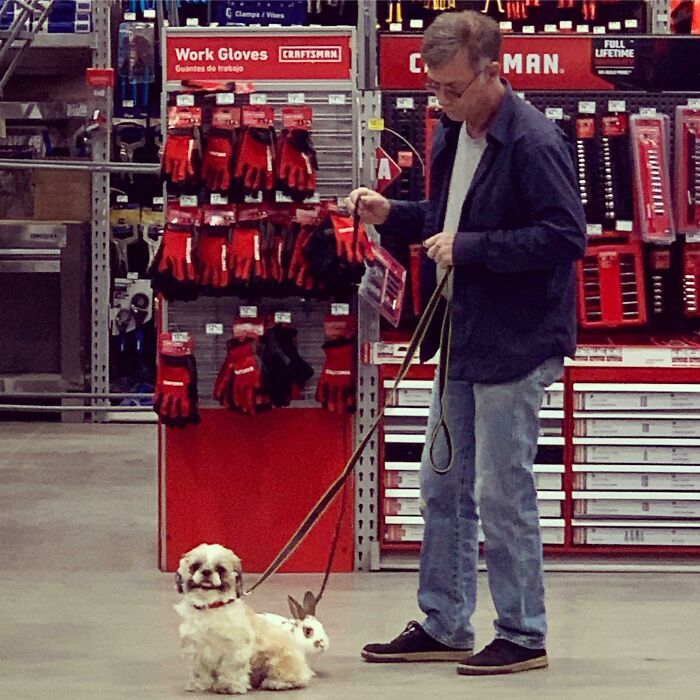 Man in a store with a dog and rabbit on a leash, surprising photo moment captured.
