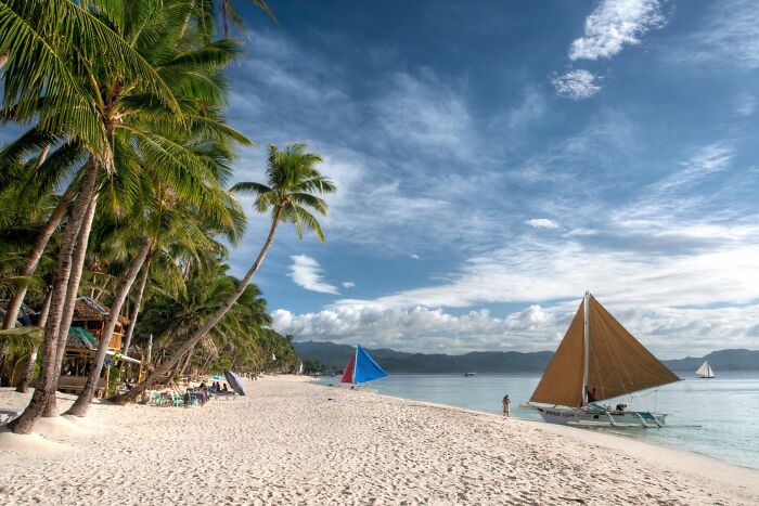 Stunning beach with palm trees and sailboats on clear blue waters under a vibrant sky.