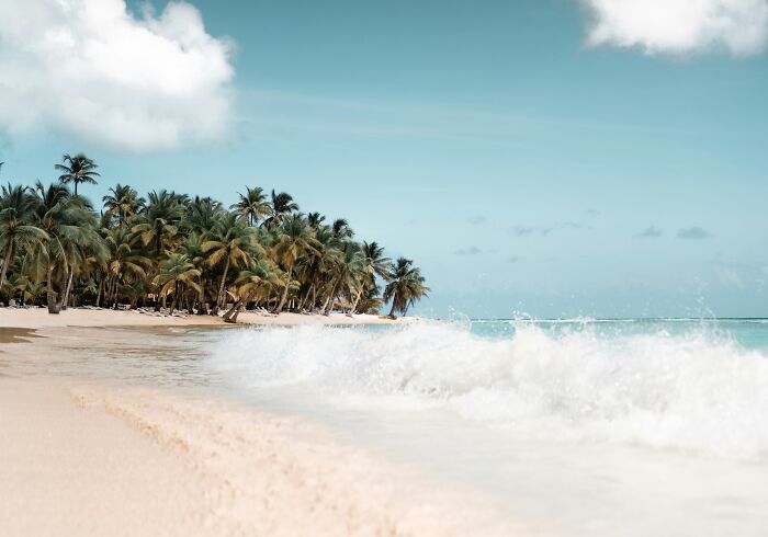 Tropical beach with palm trees and waves, perfect for travel inspiration.