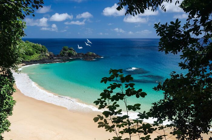 Stunning beach with turquoise water, golden sand, and lush greenery, perfect for inspiring a travel booking.