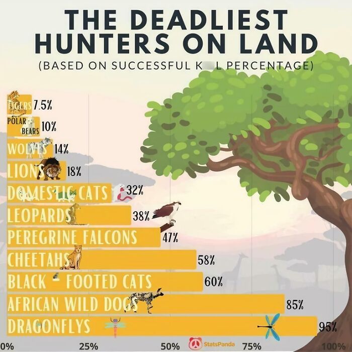 Infographic showing the deadliest land hunters by k**l percentage, with dragonflies leading at 95%.