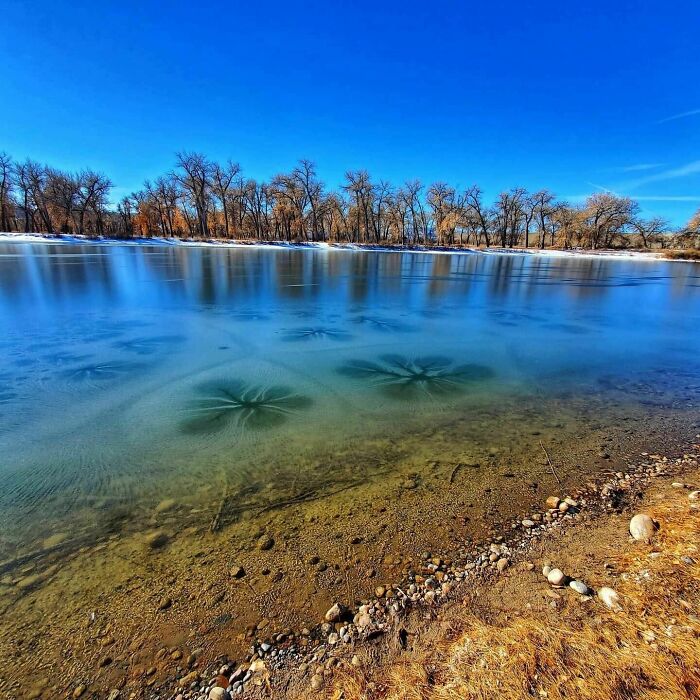 Frozen lake with unique ice formations near the shore, under a clear blue sky, showcasing our world's intriguing beauty.