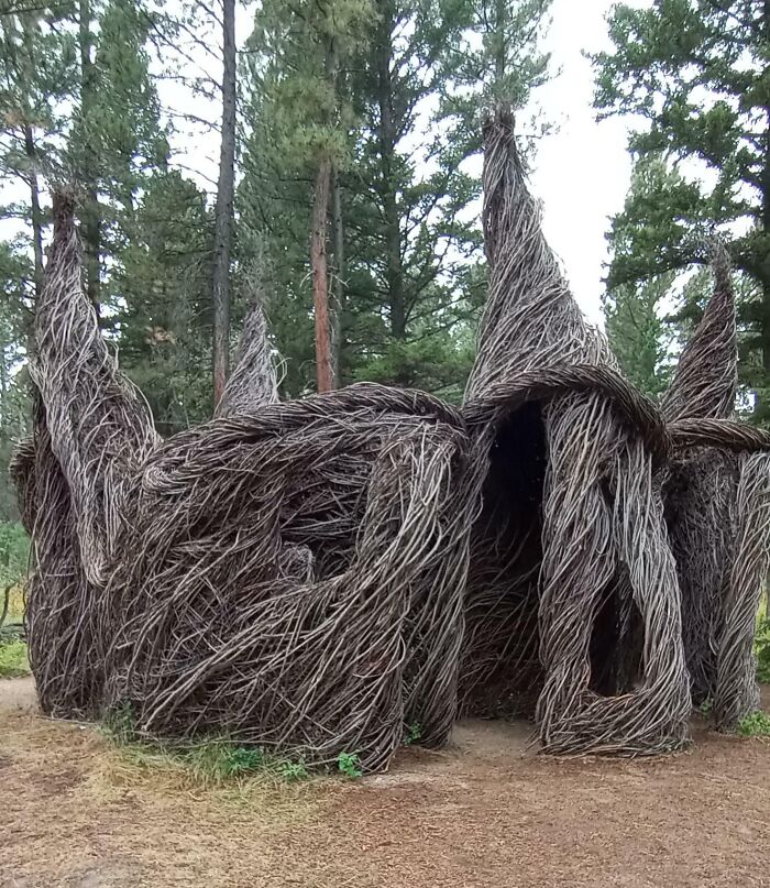 Estructura surreal de ramas en el bosque, mostrando formas intrigantes.