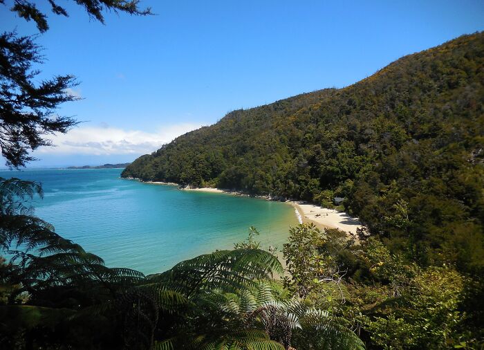 Stunning beach with turquoise water and lush greenery, perfect for travel inspiration.