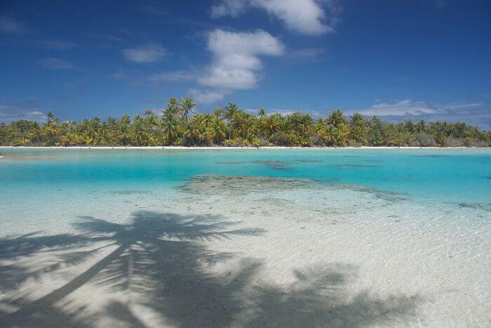 Tropical beach with clear turquoise water and palm trees under a bright blue sky.