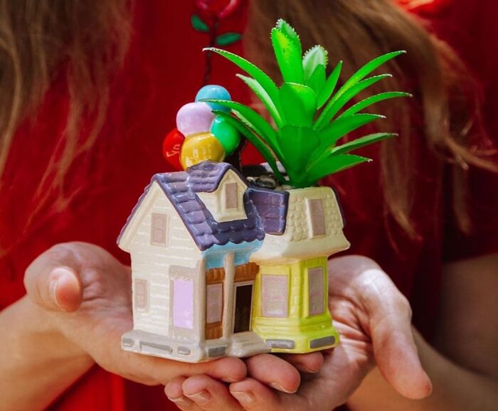 A person holding a house-shaped planter with balloons and a plant, symbolizing pure fandom goals.