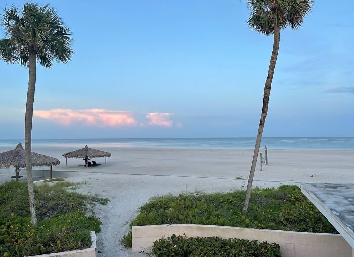 Stunning beach view with clear skies, palm trees, and ocean horizon, perfect for travel inspiration.