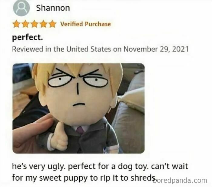 Funny Amazon review of a grumpy plush toy, described humorously as perfect for a dog toy.