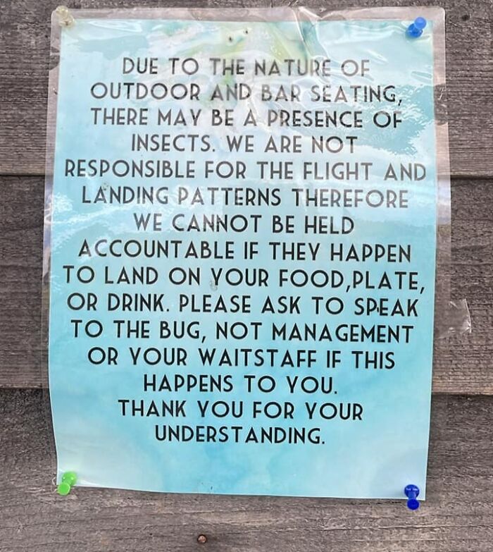 Sign warning about insects at outdoor seating, humorously instructs patrons to speak to bugs directly about landing issues.