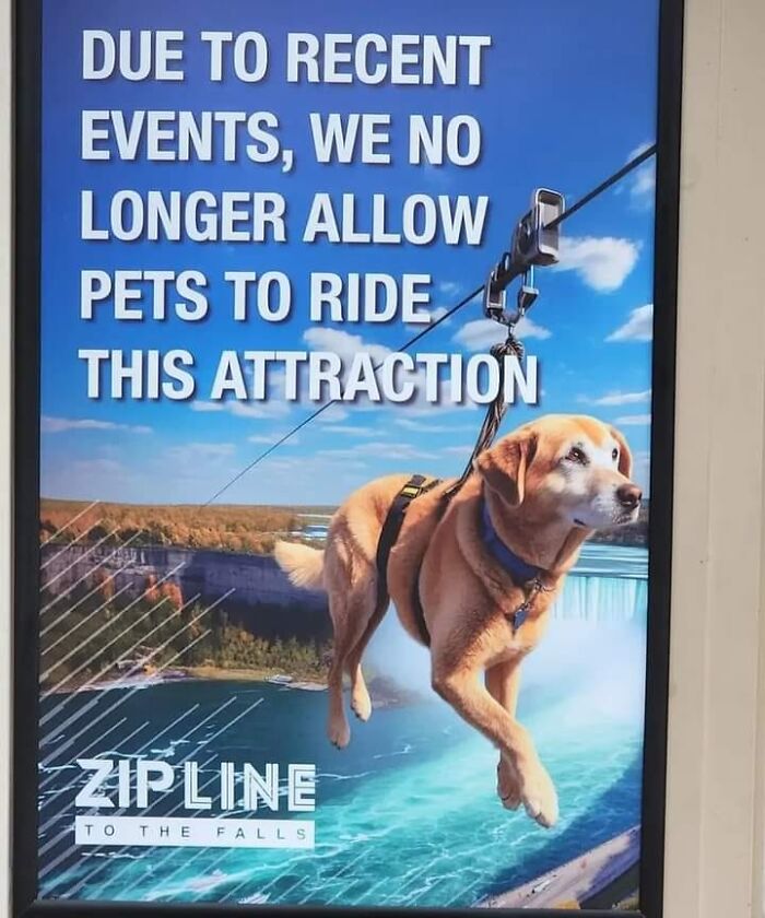 Dog on a zipline with sign stating pets no longer allowed, hinting at an aftermath of a big mistake.