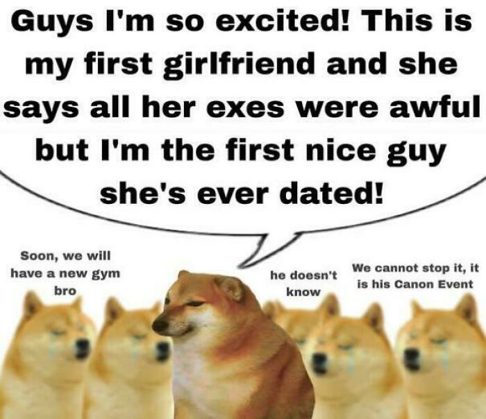Doge meme explaining relationship excitement with humorous commentary from other Doges.