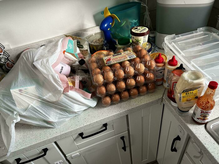 Groceries on countertop with broken egg carton; a humorous illustration of a horrible day mishap.