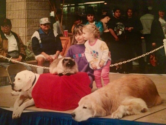 Children with a cat and two dogs on stage, intriguing onlookers, capturing an unbelievable moment.
