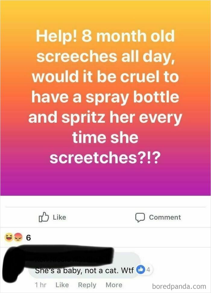 Mom group post about using a spray bottle on an 8-month-old, with a comment saying, "She's a baby, not a cat."