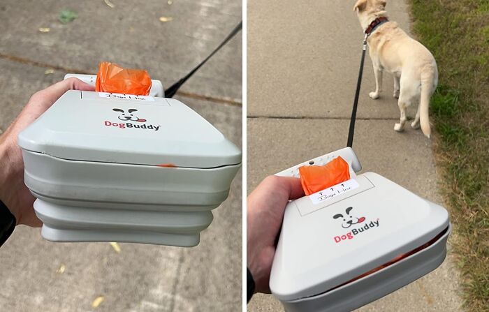 Hand holding a DogBuddy tool for dog walking, showcasing its utility on a sidewalk stroll with a leash.
