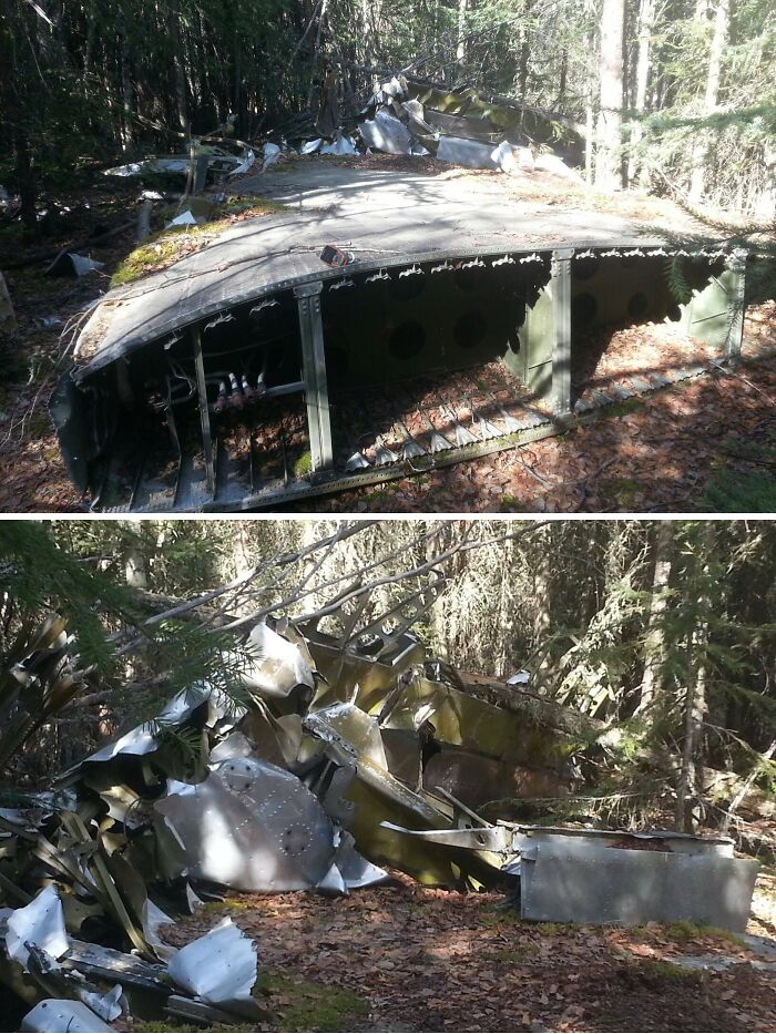 Abandoned airplane wreckage in a forest, discovered and photographed to capture the unusual scene.
