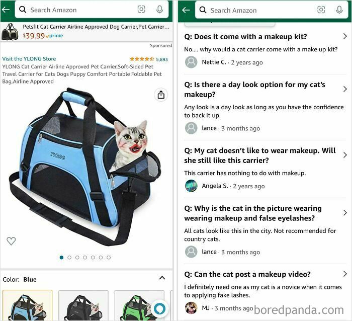 Cat in a pet carrier with funny Amazon reviews about cats wearing makeup and false eyelashes.