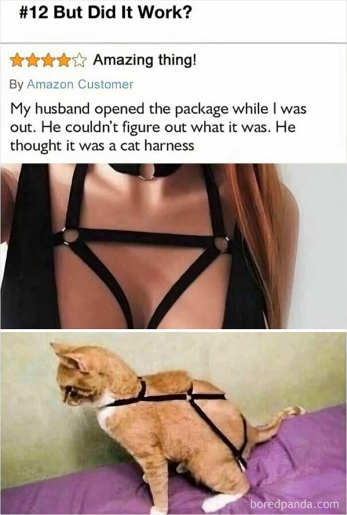 Amazon review humor: Lingerie mistaken for cat harness, comical mix-up revealed in photo.