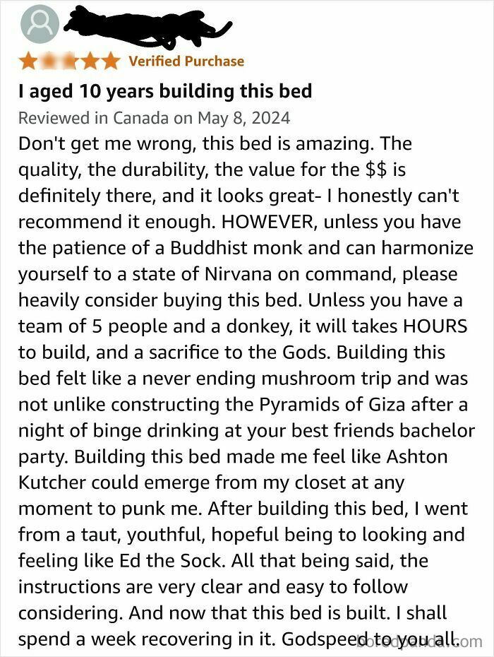 Funny Amazon review about difficult bed assembly, mentioning patience, pyramids, and humorously detailed building experience.