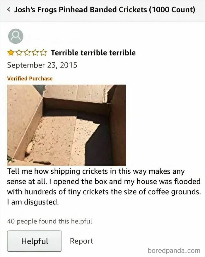 Funny Amazon review on crickets; buyer upset about tiny crickets flooding their house. Comedy gold found in reviews.