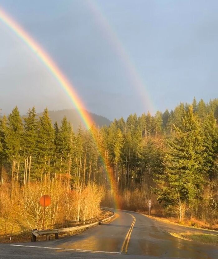 Double rainbow arches over a forest road, captured as proof of a rare natural phenomenon.