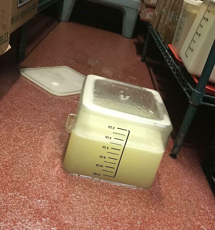 Large container of liquid spilled on a pantry floor, lid off to the side, captured for disbelief moments.