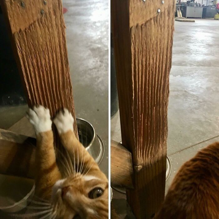 Cat scratching post transformed over time, showcasing deep claw marks from frequent use.