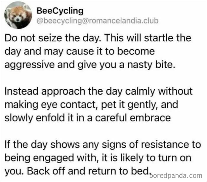 Funny meme suggesting to approach the day calmly instead of seizing it aggressively for a humorous life outlook.