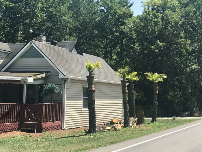 Failed repair attempt with tree trunks topped by potted plants beside a house.