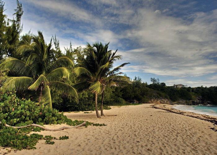 Sandy beach with palm trees and clear skies, inviting you to book a plane ticket.