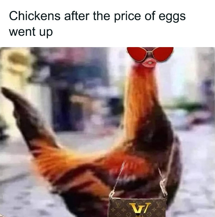 Chicken with sunglasses and luxury bag, humorously illustrating food-related price changes.